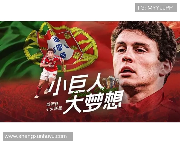 图拔科维奇的传奇之路:从足球新星到世界级教练的蜕变与成就